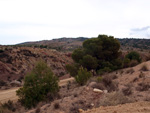 Cantera de arcillas el Chicano. Macisvenda. Murcia