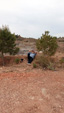 Cantera de arcillas el Chicano. Macisvenda. Murcia