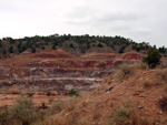 Cantera de arcillas el Chicano. Macisvenda. Murcia