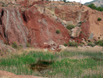 Canteras de Arcilla. Raco de Fava. Tibi. Alicante