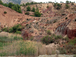 Canteras de Arcilla. Raco de Fava. Tibi. Alicante