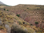 Canteras de Arcilla. Raco de Fava. Tibi. Alicante