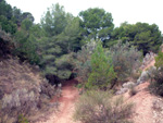 Canteras de Arcilla. Raco de Fava. Tibi. Alicante