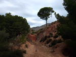 
      
      Canteras de Arcilla. Raco de Fava. Tibi. Alicante 