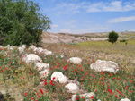 Cerro de la Oliva. Arroyo de los Migueles, Rivas Vaciamadrid Madrid 