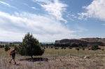 Cerro de la Oliva. Arroyo de los Migueles, Rivas Vaciamadrid Madrid 