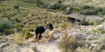 Cantera de Holcin. Busot. Alicante