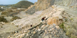 Grupo Mineralógico de Alicante. Cantera de Áridos de Holcin. Busot. Alicante