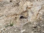 Grupo Mineralógico de Alicante. Cantera de Áridos de Holcin. Busot. Alicante