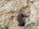 Grupo Mineralógico de Alicante. Cantera de Áridos de Holcin. Busot. Alicante