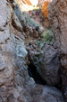 Grupo Mineralógico de Alicante.  Rambla en Diapiro de Pinoso. Alicante 