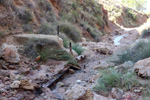 Grupo Mineralógico de Alicante.  Rambla en Diapiro de Pinoso. Alicante 