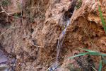 Grupo Mineralógico de Alicante.  Rambla en Diapiro de Pinoso. Alicante 