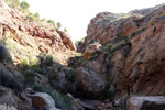 Grupo Mineralógico de Alicante. Rambla en Diapiro de Pinoso. Alicante