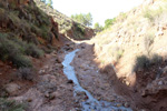 Grupo Mineralógico de Alicante. Rambla en Diapiro de Pinoso. Alicante