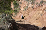 Grupo Mineralógico de Alicante. Rambla en Diapiro de Pinoso. Alicante