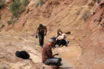 Grupo Mineralógico de Alicante. Rambla en Diapiro de Pinoso. Alicante