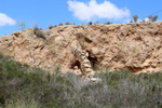 Grupo Mineralógico de Alicante. Rambla en Diapiro de Pinoso. Alicante