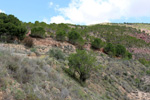 Grupo Mineralógico de Alicante. Rambla en Diapiro de Pinoso. Alicante