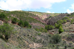 Grupo Mineralógico de Alicante. Rambla en Diapiro de Pinoso. Alicante