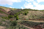 Grupo Mineralógico de Alicante. Rambla en Diapiro de Pinoso. Alicante