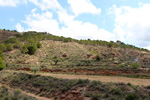 Grupo Mineralógico de Alicante. Rambla en Diapiro de Pinoso. Alicante