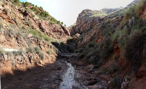 Grupo Mineralógico de Alicante. Rambla en Diapiro de Pinoso. Alicante