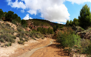 Grupo Mineralógico de Alicante. Rambla en Diapiro de Pinoso. Alicante