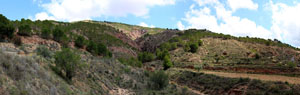 Grupo Mineralógico de Alicante. Rambla en Diapiro de Pinoso. Alicante