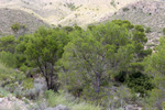 Grupo Mineralógico de Alicante.Cantera de Áridos el Canton. Abanilla. Murcia