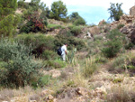 Grupo Mineralógico de Alicante. Cantera Barranco de la Mola. Sierra de Olta, Calpe. Alicante