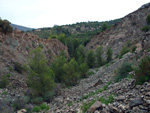 Grupo Mineralógico de Alicante. Cantera Barranco de la Mola. Sierra de Olta, Calpe. Alicante