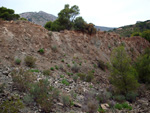 Grupo Mineralógico de Alicante. Cantera Barranco de la Mola. Sierra de Olta, Calpe. Alicante