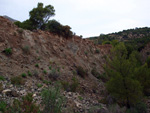 Grupo Mineralógico de Alicante. Cantera Barranco de la Mola. Sierra de Olta, Calpe. Alicante