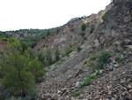 Grupo Mineralógico de Alicante. Cantera Barranco de la Mola. Sierra de Olta, Calpe. Alicante