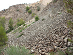 Grupo Mineralógico de Alicante. Cantera Barranco de la Mola. Sierra de Olta, Calpe. Alicante