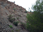 Grupo Mineralógico de Alicante. Cantera Barranco de la Mola. Sierra de Olta, Calpe. Alicante