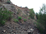 Grupo Mineralógico de Alicante. Cantera Barranco de la Mola. Sierra de Olta, Calpe. Alicante