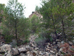 Grupo Mineralógico de Alicante. Cantera Barranco de la Mola. Sierra de Olta, Calpe. Alicante