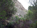 Grupo Mineralógico de Alicante. Cantera Barranco de la Mola. Sierra de Olta, Calpe. Alicante