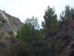 Grupo Mineralógico de Alicante. Cantera Barranco de la Mola. Sierra de Olta, Calpe. Alicante