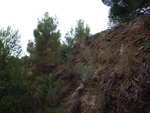 Grupo Mineralógico de Alicante. Cantera Barranco de la Mola. Sierra de Olta, Calpe. Alicante