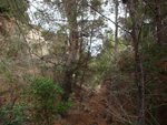 Grupo Mineralógico de Alicante. Cantera Barranco de la Mola. Sierra de Olta, Calpe. Alicante