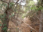 Grupo Mineralógico de Alicante. Cantera Barranco de la Mola. Sierra de Olta, Calpe. Alicante