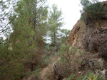 Grupo Mineralógico de Alicante. Cantera Barranco de la Mola. Sierra de Olta, Calpe. Alicante