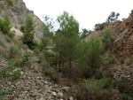 Grupo Mineralógico de Alicante. Cantera Barranco de la Mola. Sierra de Olta, Calpe. Alicante