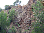 Grupo Mineralógico de Alicante. Cantera Barranco de la Mola. Sierra de Olta, Calpe. Alicante