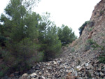 Grupo Mineralógico de Alicante. Cantera Barranco de la Mola. Sierra de Olta, Calpe. Alicante