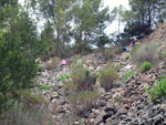 Grupo Mineralógico de Alicante. Cantera Barranco de la Mola. Sierra de Olta, Calpe. Alicante