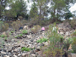 Grupo Mineralógico de Alicante. Cantera Barranco de la Mola. Sierra de Olta, Calpe. Alicante